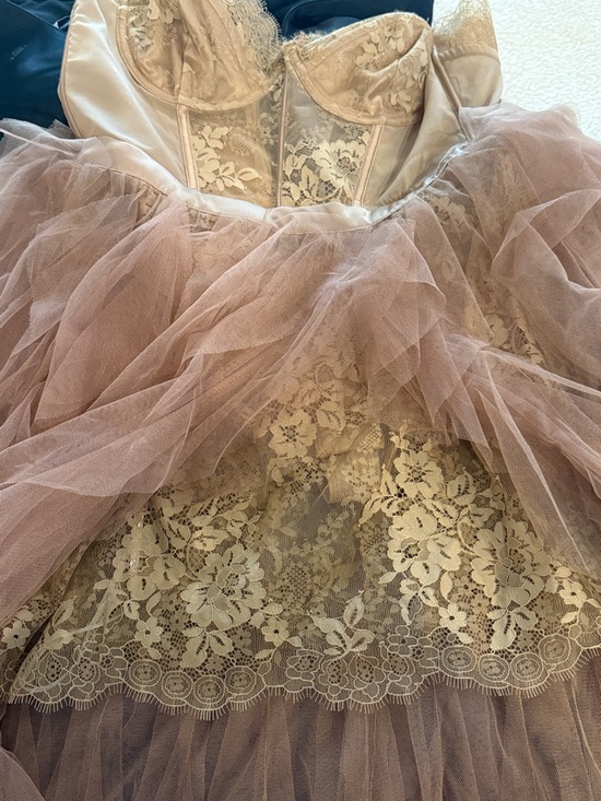 For Love And Lemons x Revolve Bustier Gown